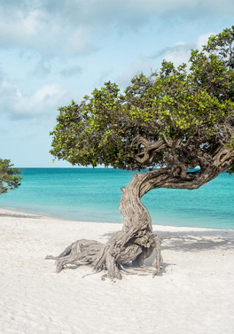 Luxury New York and rejuvenating Aruba