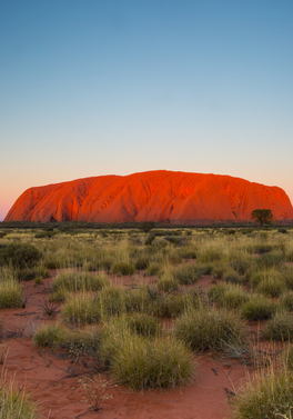 Outback Adventure