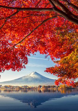 Discover Japan & South Korea: Tradition Meets Modern Marvels