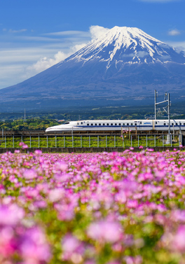 Japan Highlights with Hong Kong Stay!