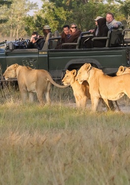 DUBLIN OFFER - Best of South Africa! Cape Town, Winelands, and Private Game Reserve!