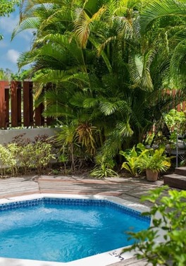 SALE! 30% OFF! - The Exotic West Coast of Barbados