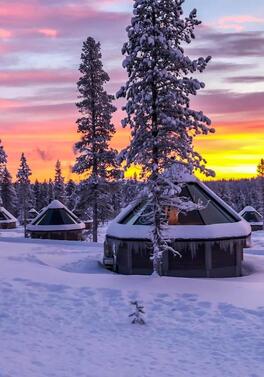 Last Minute Family Lapland!
