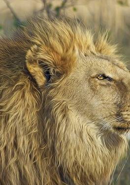 Kruger and the Kingdoms - 6 nights / 7 days scheduled tour