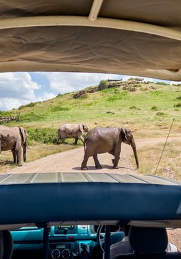 Kenya Classic - Zebra Plains - 6 nt / 7 day Safari