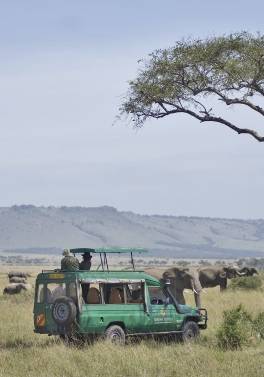 Kenya Serena Classic Tour - 7 days / 6 nights
