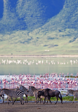 3 night Tanzania safari and 7 night Zanzibar all inclusive beach stay