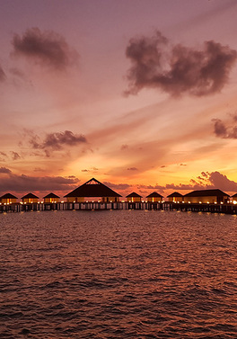 Cinnamon Bentota Beach – Signature Selection