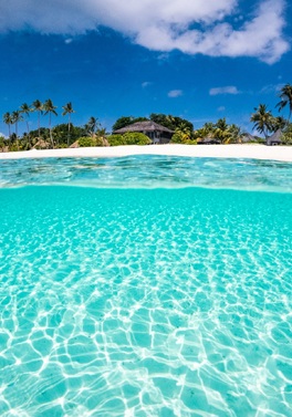 Save 20%, Free All Inclusive & Free Return Transfers at Kuredu Island Resort Maldives!