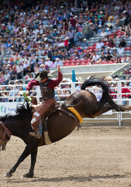 Ramada Plaza by Wyndham Calgary Downtown