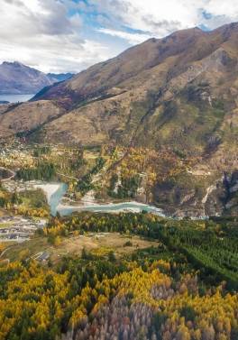 Contrasts of New Zealand