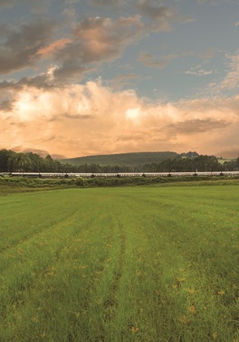 Cape Town (4 nights), Rovos Rail (3 nights), Pretoria (1 night) and Victoria Falls (3 nights)