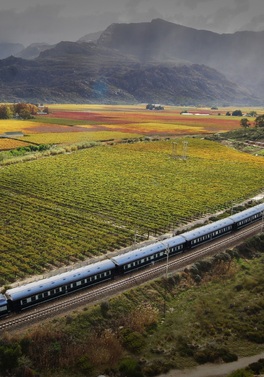Experience Southern Africa on this Cape Town, Rovos Rail, Pretoria and Victoria Falls Multi Centre