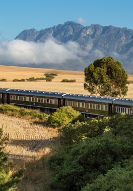 10-Night Opulent African Escape: Rovos Rail & Victoria Falls
