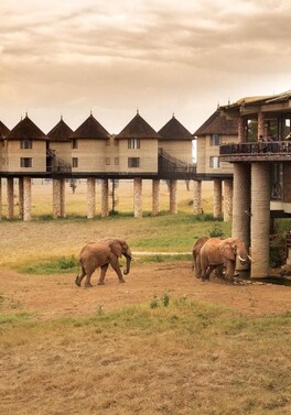 Combine Mombasa Beach with 3 nights of wildlife and wilderness on safari!