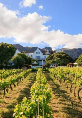 The Plettenberg
