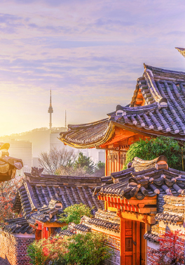Friends on Tour! Private group tour of South Korea