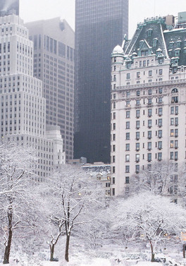 Christmas Goals: Stay at The Plaza Hotel for Christmas!