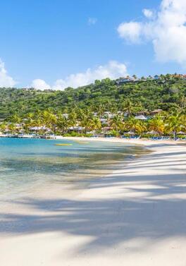 Black Friday! 45% Saving- Caribbean Family Fun!