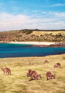Melbourne to Adelaide via Kangaroo Island Self Drive