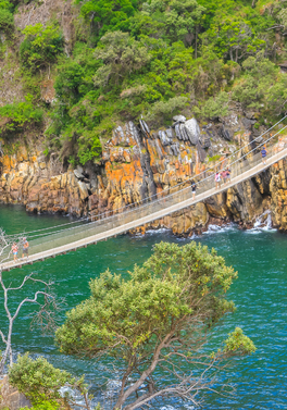 Inspirational Garden Route - 6 night /  5 days small group escorted tour