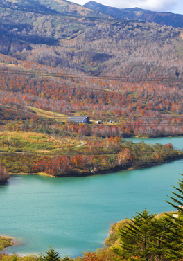 Lotte City Hotel Kinshicho