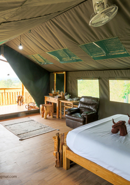 Elephant Hills The Bush Camp Chiang Mai - 3 days