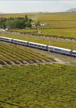 Cape Town and the iconic Blue Train - with a 30% early offer saving!