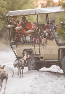 Luxury Mobile Tented Camp in Botswana ending at Majestic Victoria Falls!
