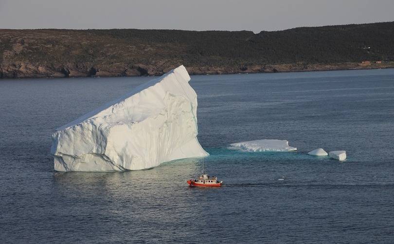 ICEBERG, WHALE AND SEABIRD TOUR