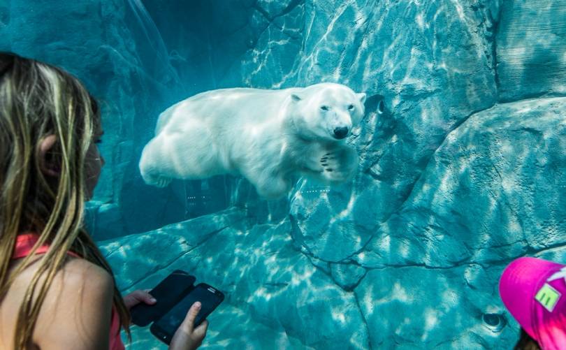 ASSINIBOINE PARK ZOO ADMISSION INCLUDING TRANSFERS