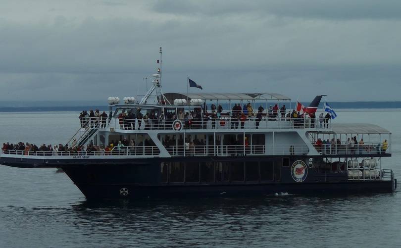 Whale Watching from TADOUSSAC – 3 Hour Boat