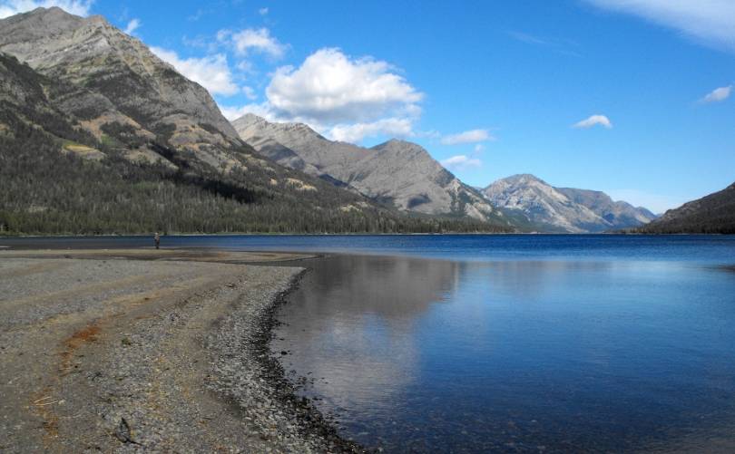 WATERTON LAKES SCENIC CRUISE