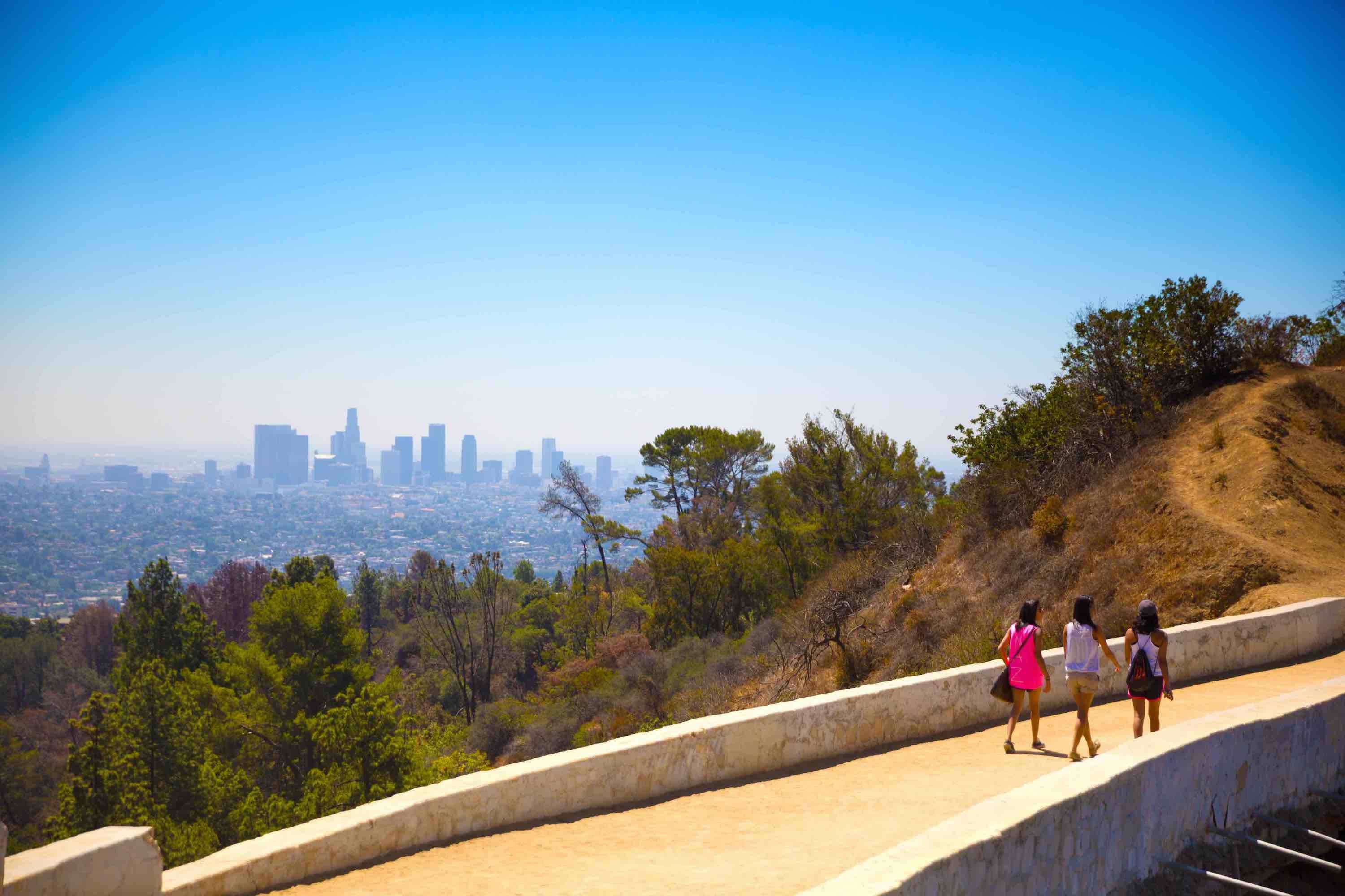 Griffith Park Trail Los Angeles