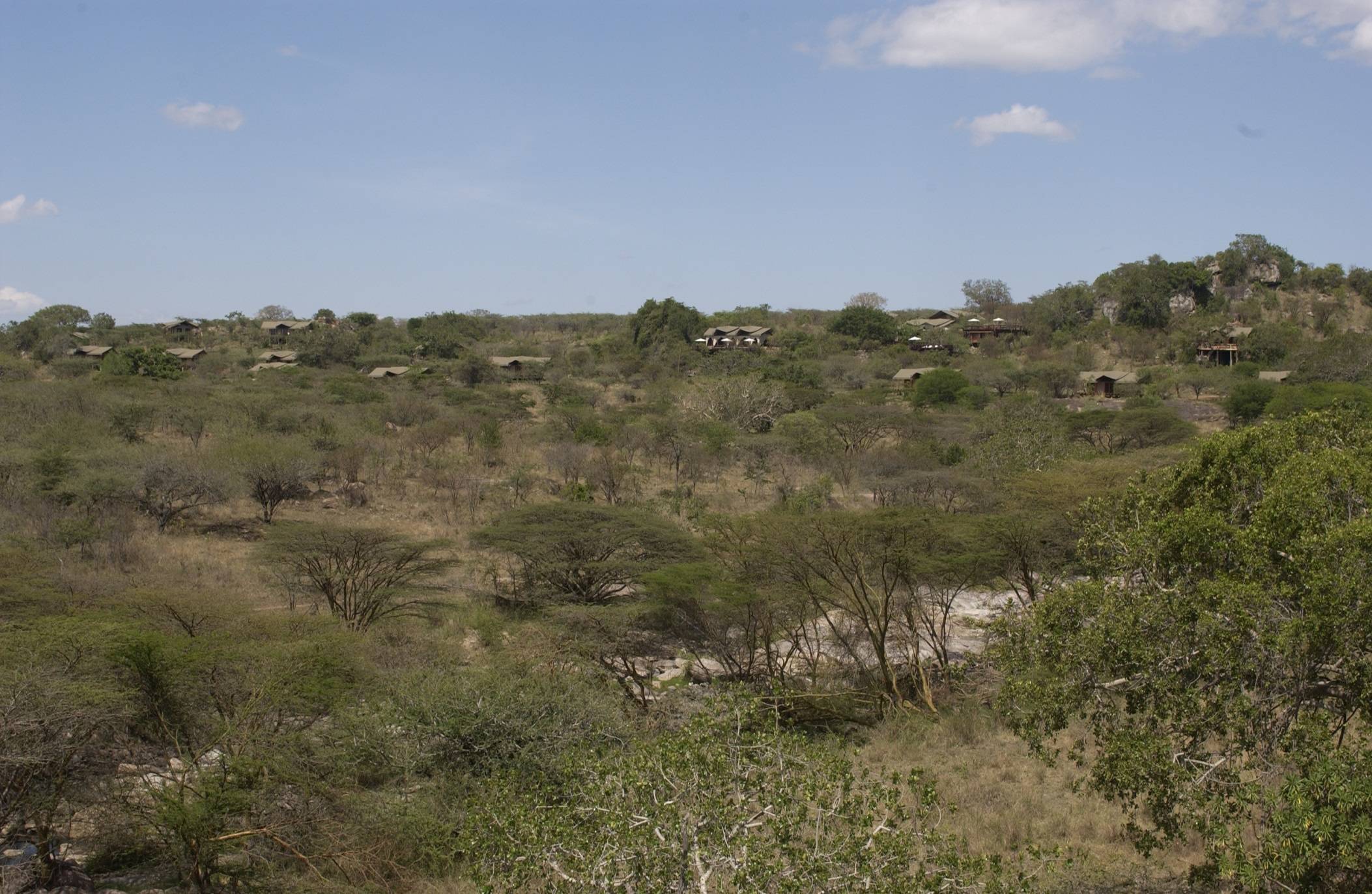 Serengeti Migration Camp