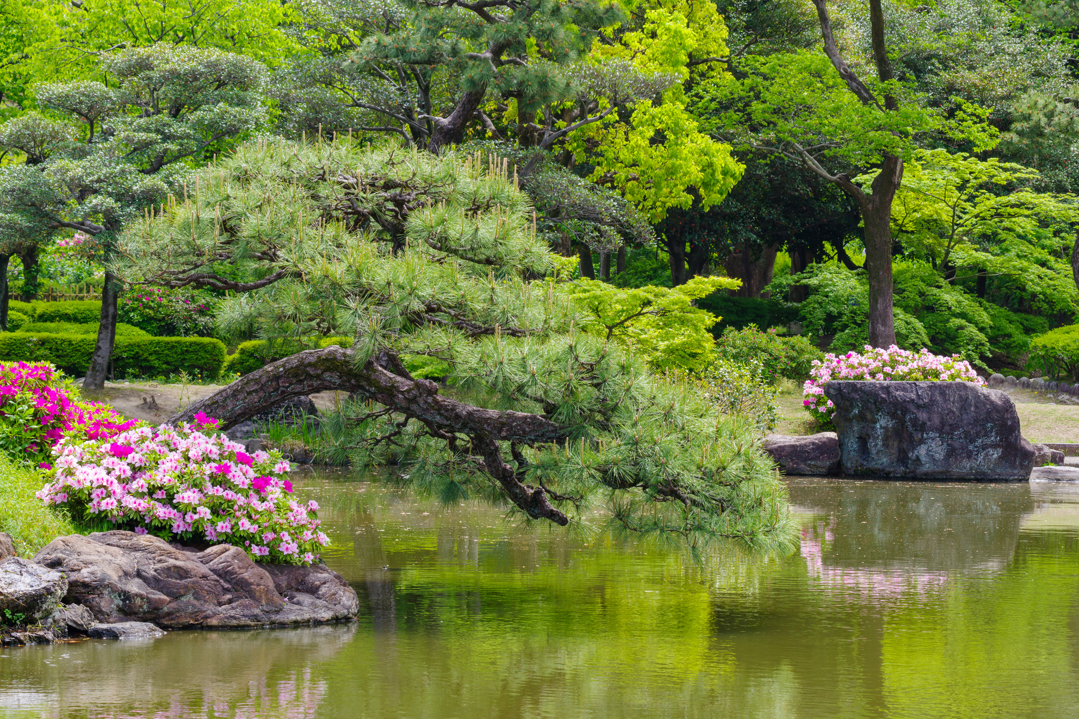 Tsurumai Park - Nagoya City