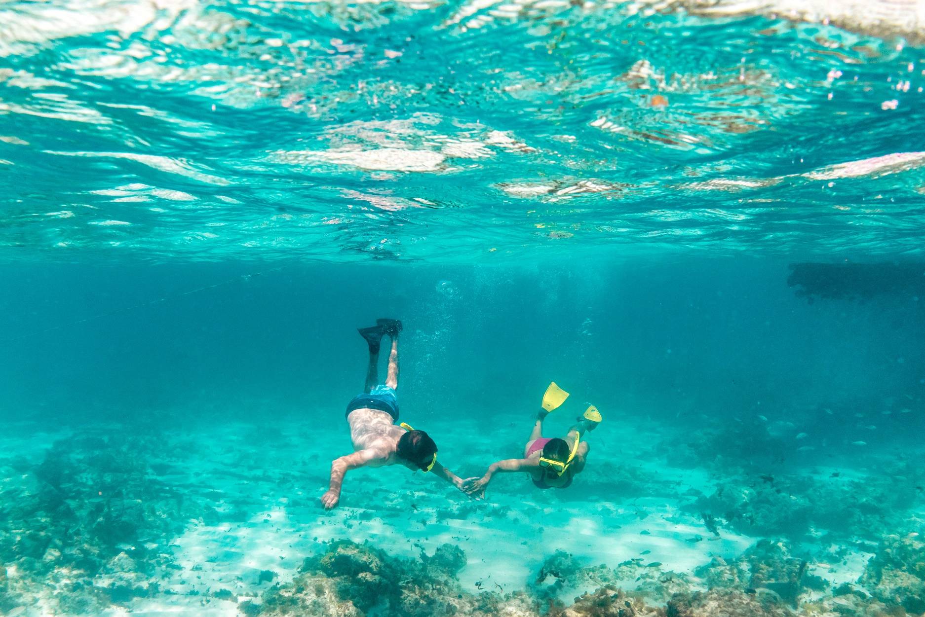 Underwater - diving