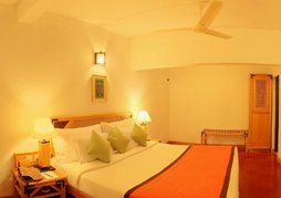 The Tall Trees Munnar