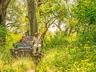 Game Drives
