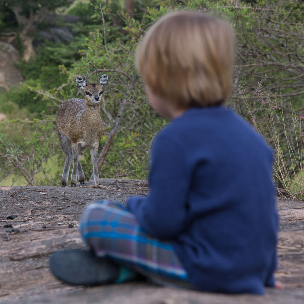 Childrens Activities