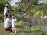Childrens Activities