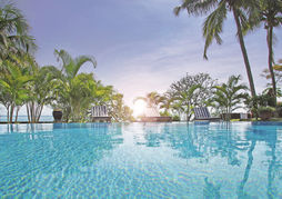 Flowers of Paradise with LOV