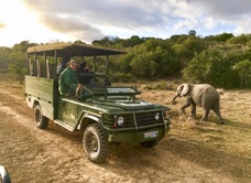 Pumba Private Game Reserve - Bush Lodge