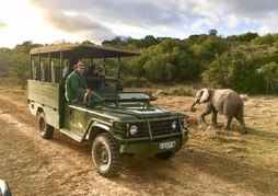 Pumba Private Game Reserve - Bush Lodge