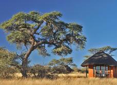 Camelthorn Kalahari Lodge