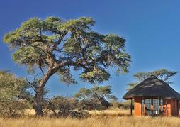 Camelthorn Kalahari Lodge