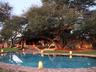 Camelthorn Kalahari Lodge