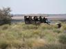 Camelthorn Kalahari Lodge