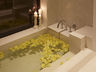 Deep Soaking Bathtub