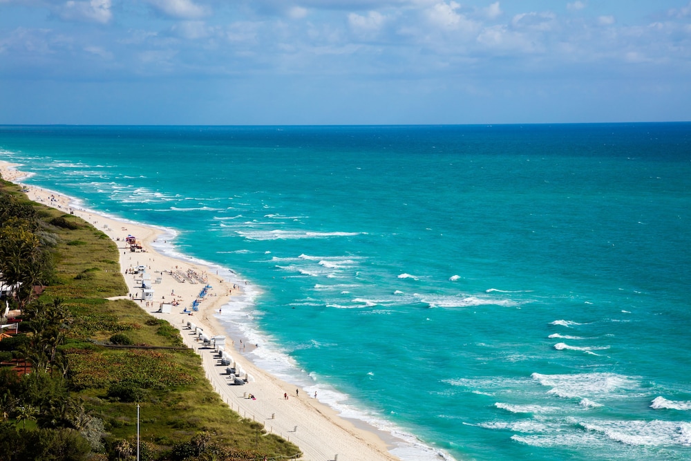 Beach/Ocean View